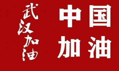 发挥“中国之治”优势，打响疫情防控的人民战争